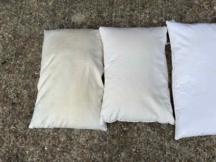 Photo of free Used feather pillows (Wimbledon SW19) #4