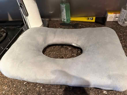Photo of free Doughnut pillow (Riverdale, Bronx, New York) #1
