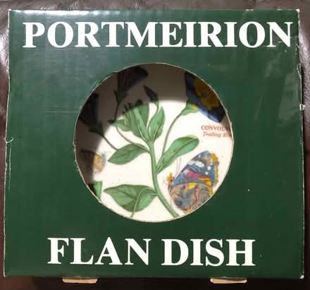 Photo of free Flan dish (Ox3) #1