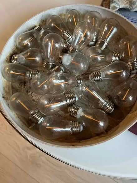 Photo of free a bunch of garden light bulbs (Golden Triangle) #1