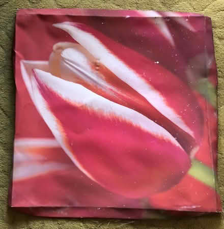 Photo of free Reclaimed Artists Canvas (Littleover DE23) #1