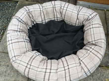 Photo of free LARGE dog bed (Anwoth near Gatehouse of Fleet) #1