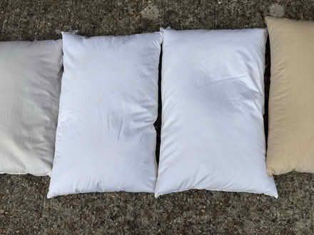 Photo of free Used feather pillows (Wimbledon SW19) #3