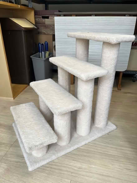 Photo of free Pet Steps (Leeds LS28) #1