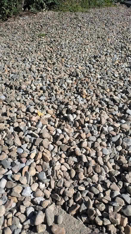 Photo of free Garden pebbles/gravel (Stocksfield NE43) #1