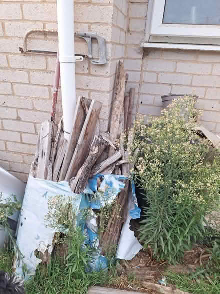 Photo of free Wood for burning (Loddon NR14 6) #3