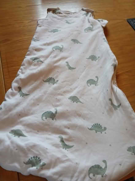 Photo of free Baby gro bag dinosaur (Parkhead EH11) #1