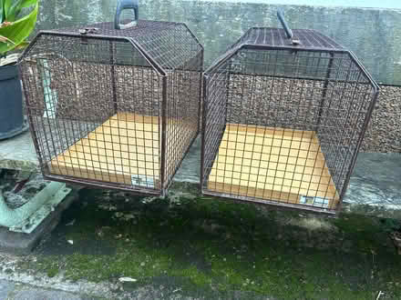 Photo of free Animal carriers (Cupar KY15) #1