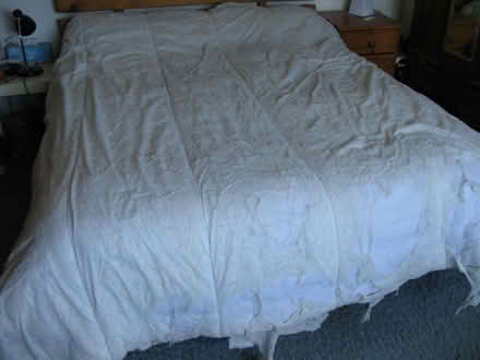 Photo of free King-size duvet (Goosey SN7) #1