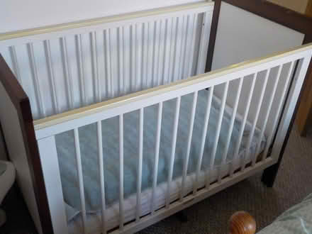 Photo of free Wooden Cot (appleby parva DE12) #1