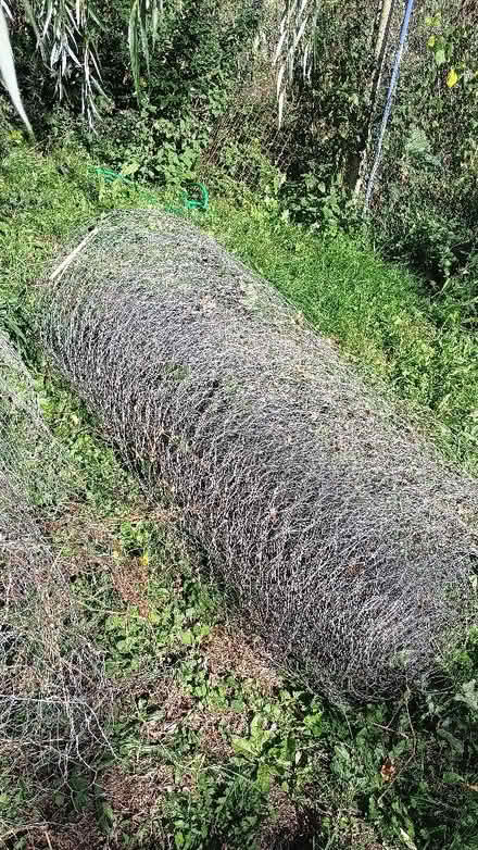 Photo of free Stock fencing, chicken wire (Ringland NR8) #3