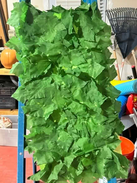 Photo of free Luau party supplies (Villages of Urbana) #4