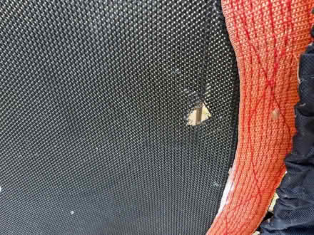 Photo of free Rebounder/small trampoline (Cotham BS6) #2