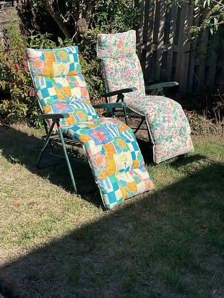 Photo of free 2 garden loungers (Bradenstoke SN15) #1