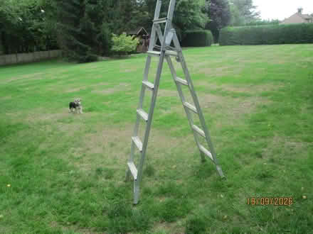 Photo of free Ladder (Hitchin SG4) #1