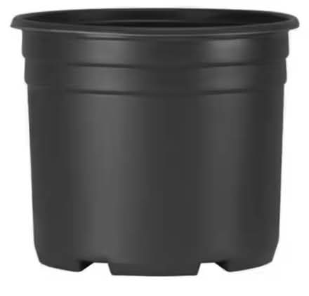 Photo of 14” Wide Nursery Pot (Morgan Hill) #1