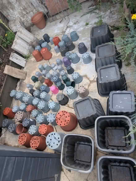 Photo of free Plant pots and planters (Catford South SE6) #1