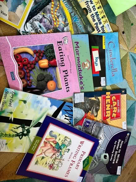 Photo of free Bundle of Primary aged big books (Peachcroft OX14) #1