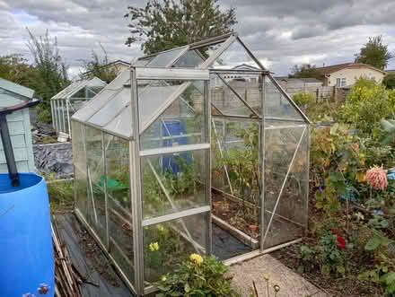 Photo of free Greenhouse (Lyneham SN15) #2