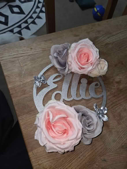 Photo of free Anyone called Ellie (RG2 Shinfield) #1