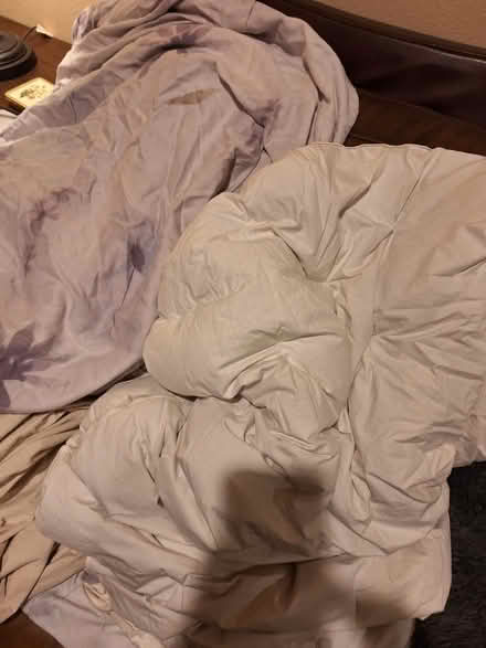 Photo of free Comforter (Encino/Tarzana) #1