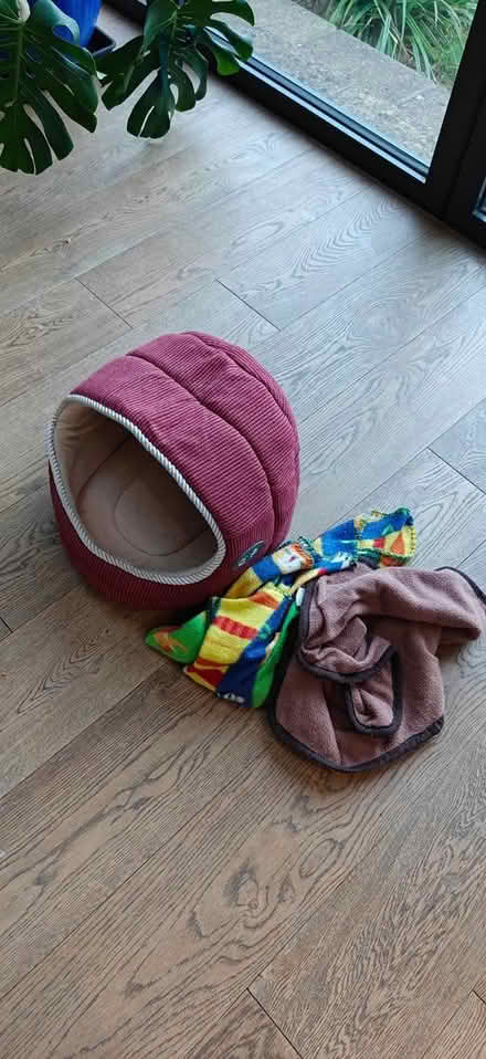Photo of free Cat bed (Knowle BS4) #1