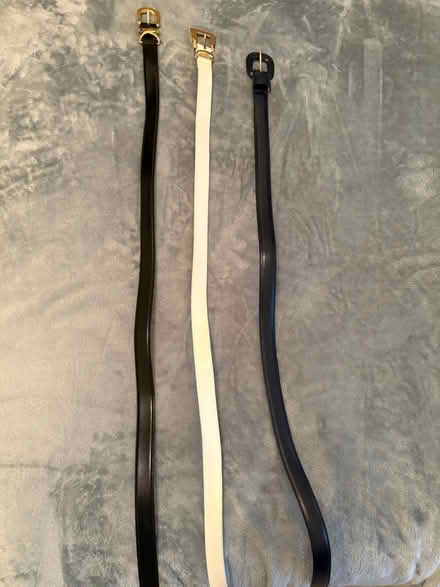 Photo of free 3 women’s belts (Chestnut Point East Condos) #1