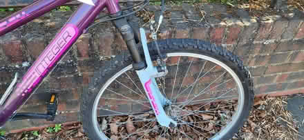 Photo of free Teenage girls bike (Whitton TW2) #3