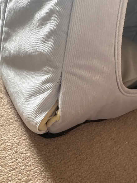 Photo of free Cat/small pet bed (Upton CH49) #2