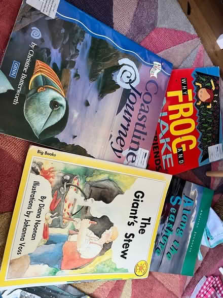 Photo of free Bundle of Primary aged big books (Peachcroft OX14) #2