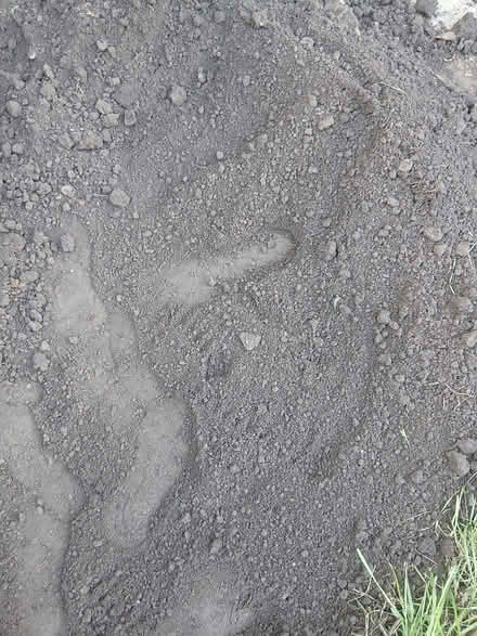 Photo of free Top soil (Wadsley S6) #1