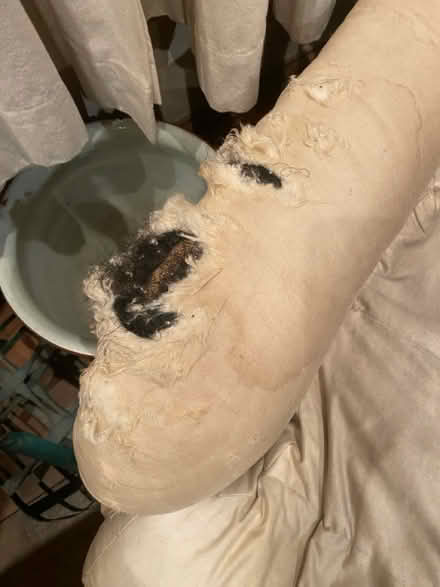 Photo of free Turn of the century arm chair (ME139 bh) #3