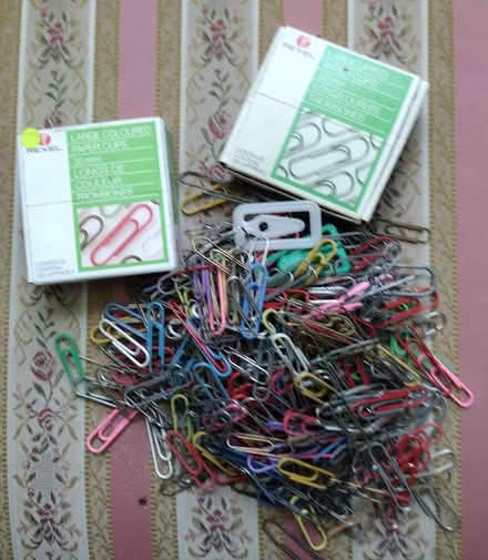 Photo of free large amount of paper clips (West Marina TN38) #1