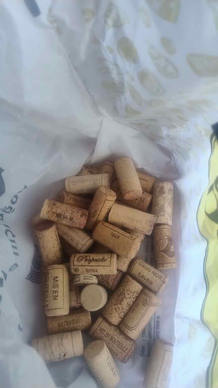 Photo of free Corks (not plastic ones) (Bathwick BA2) #1