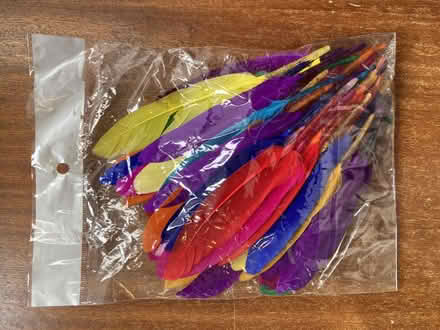 Photo of free Small coloured feathers (Old Radnor LD8) #1