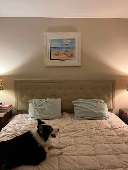 Photo of free Bed King size and mattress (South Main Hburg) #1