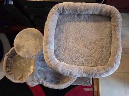 Photo of free Small cat tree (Kew Gardens) #2