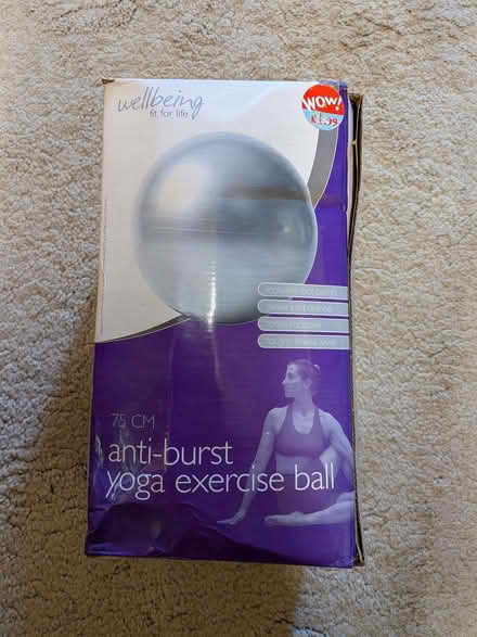 Photo of free Inflatable fitness ball (Wraxall BS48) #1