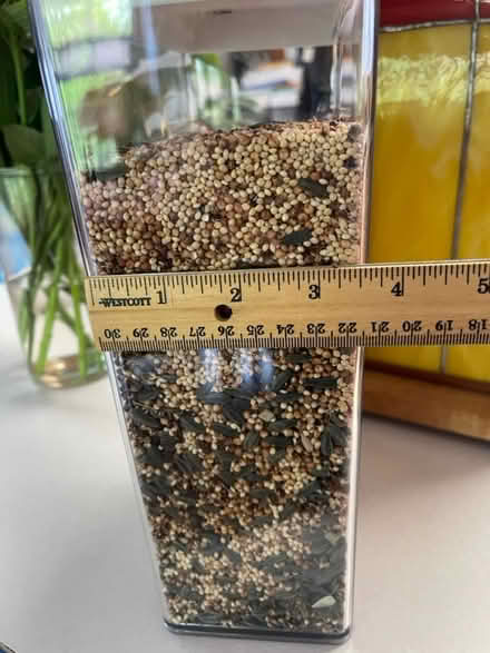 Photo of free No-Mess Bird Seed (Santiago Villa) #2