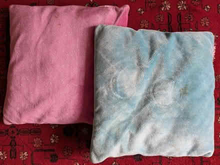 Photo of free Cushions (Clapton E5) #1