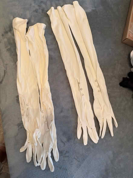 Photo of free 2 pairs long cream colored gloves (Chestnut Point East Condos) #1
