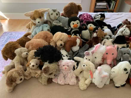 Photo of free Stuffed Animals Abundance (Bolton, MA) #2