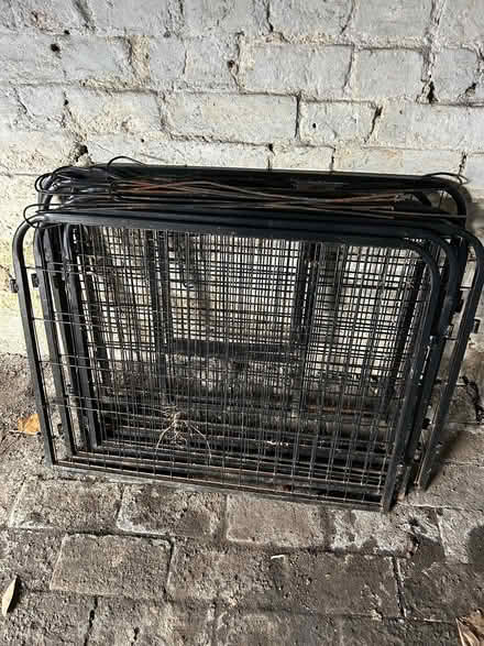 Photo of free Dog Pen (Madeley TF7) #1