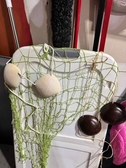 Photo of free Luau party supplies (Villages of Urbana) #1
