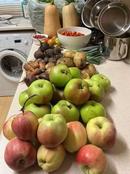 Photo of free Surplus fresh organic garden vegetables and fruit. (Hyde Park LS6) #1