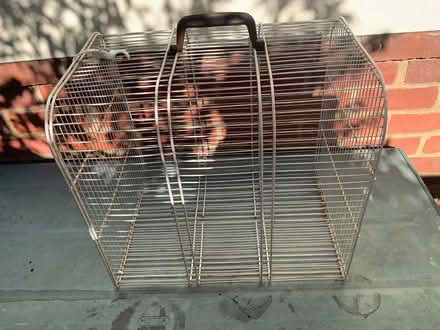 Photo of free Old cat carrier. Still in strong condition. (Great Notley CM77) #1