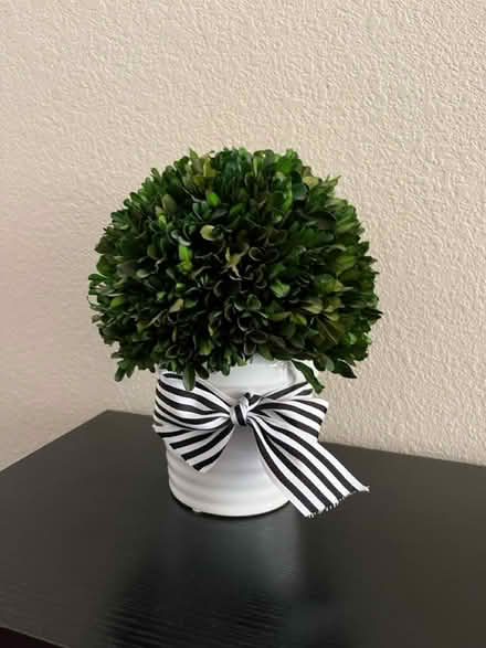 Photo of free Faux plant (Fremont, Niles Area) #1