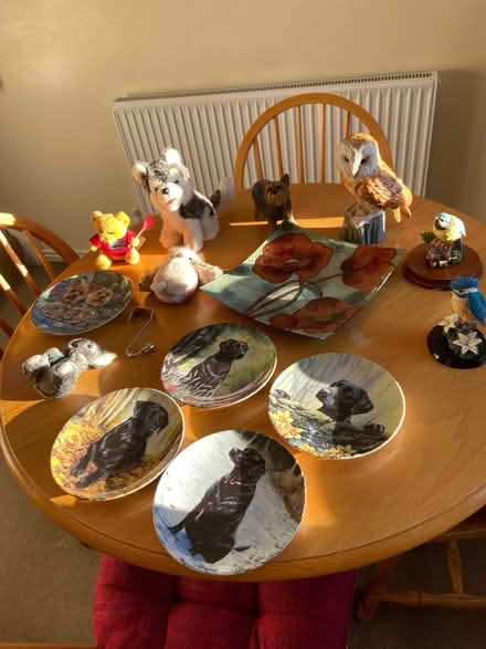 Photo of free Job Lot (Stanton Harcourt OX29) #3