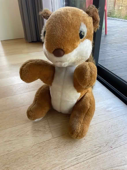 Photo of free Sydney Squirrel (North Road BA2) #2