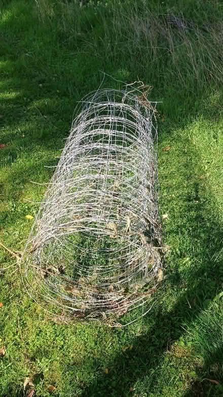 Photo of free Stock fencing, chicken wire (Ringland NR8) #2